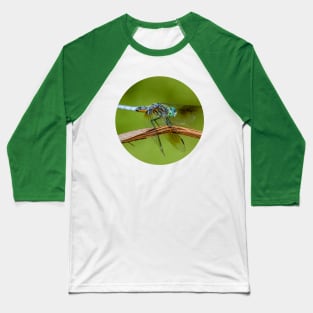 Blue Dasher Dragonfly Photograph Baseball T-Shirt